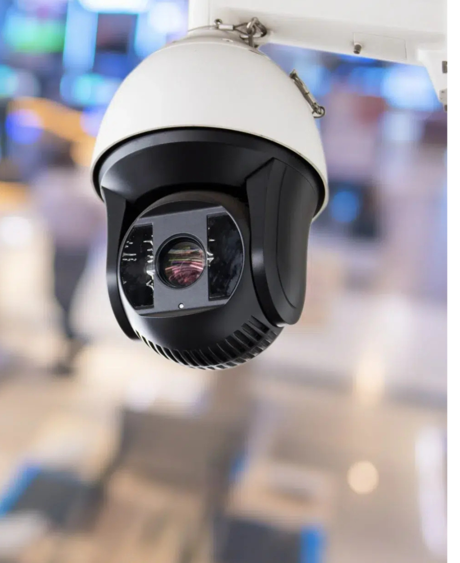 Untitled design (67)